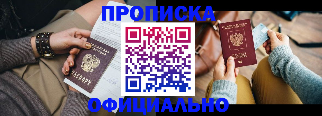 прописка поиск в Павловске